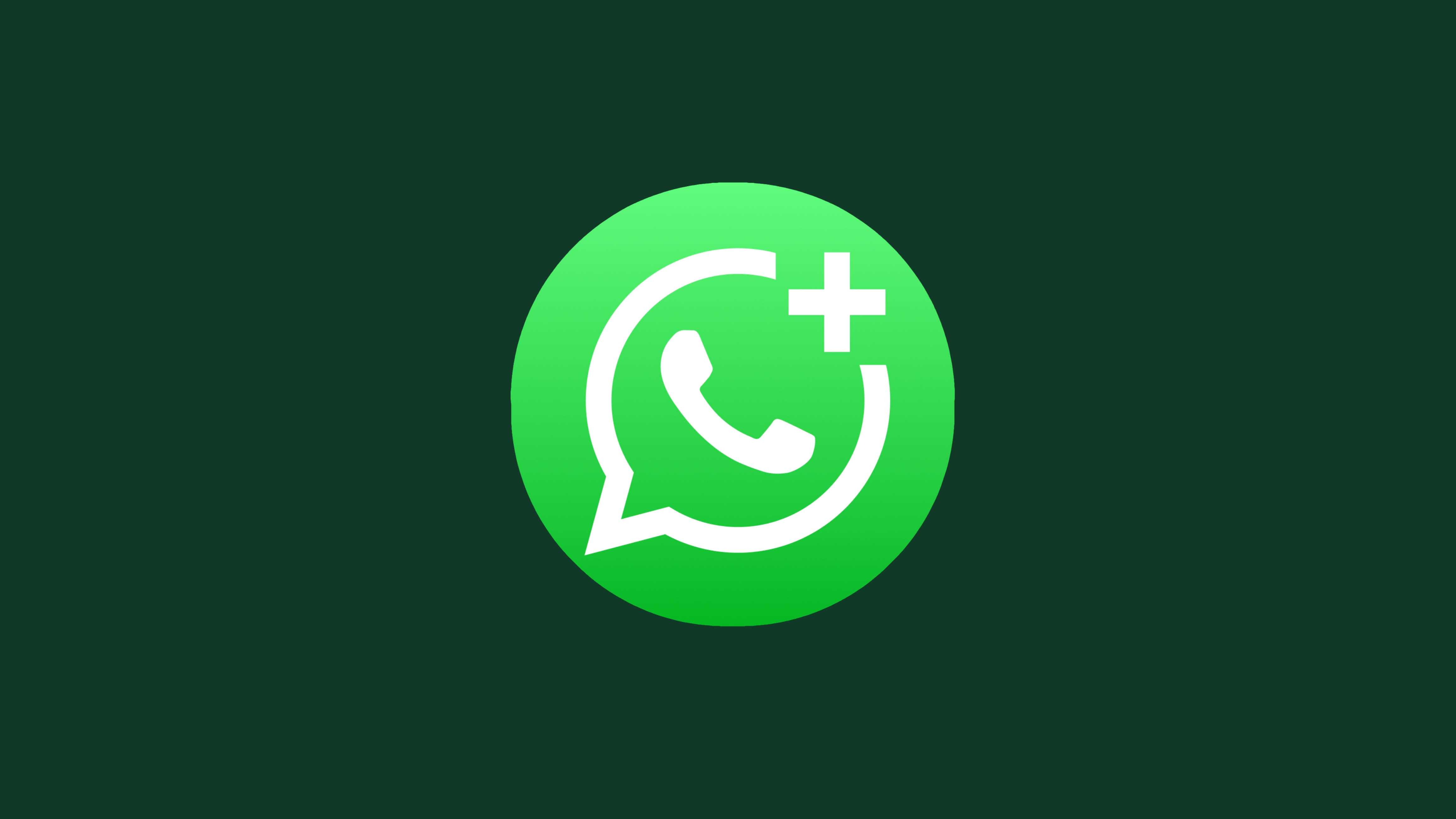 How to find users on WhatsApp? How to efficiently manage contacts using WhatsApp filtering and activation?
